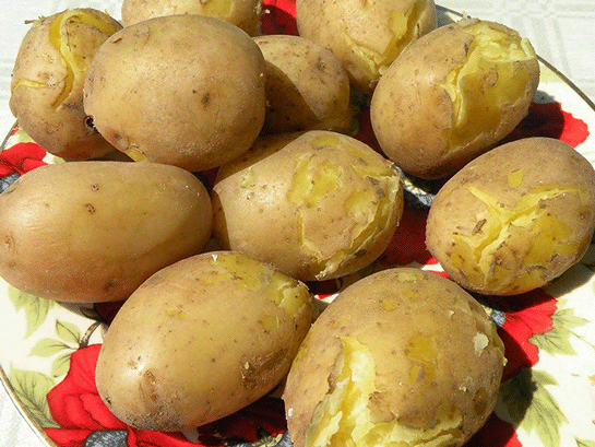 Halanm Patates