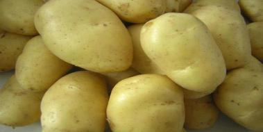Patates Çeşitleri