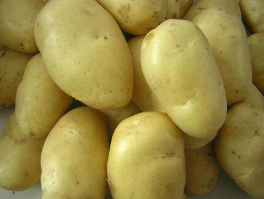Patates eitleri