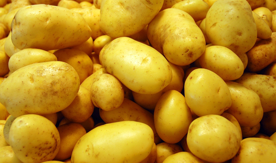 Patates